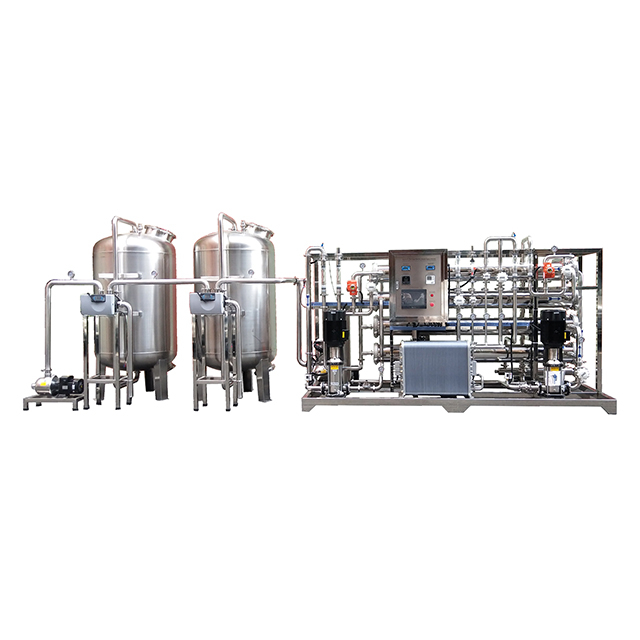 EDI Deionized Water System 5000L/H Two Stage Water Treatment Machine CE Industrial Ultra Pure Water Filter SUS316