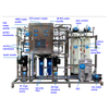 250L/H Ultrapure Water Equipment RO Water Purification EDI System for Industrial Deionized Water Treatment