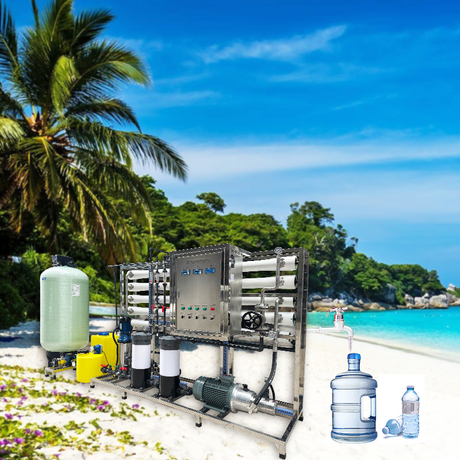 1000LPH 二级海淡-2.jpg