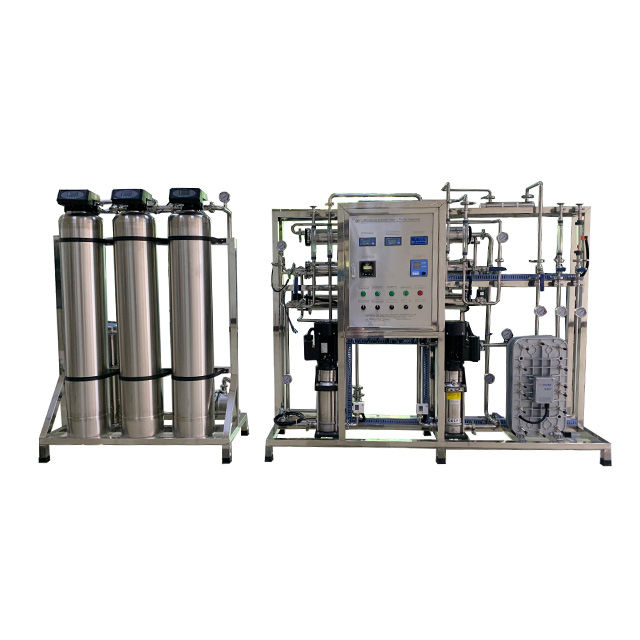 SUS304 EDI Deionized Water Treatment Equipment with 250LPH Double Stage RO Purification with Water Softener