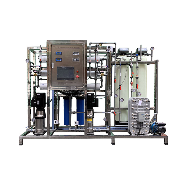 250L/H Ultrapure Water Equipment RO Water Purification EDI System for Industrial Deionized Water Treatment