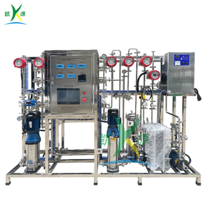 500L/H Ultrapure Water Equipment Two-stage RO + EDI Ultrapure Water System