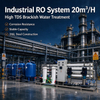 20T/H Brackish Water Reverse Osmosis System Product Details