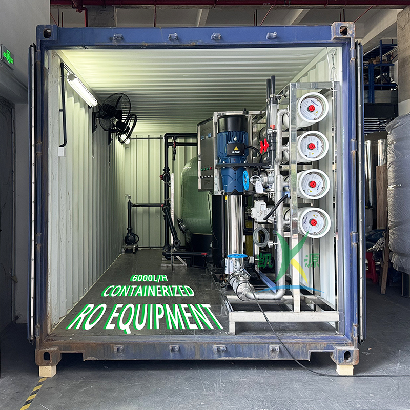 6T/H containerized brackish water RO plant external container cabinet