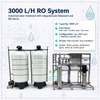 3000L/H Industrial Reverse Osmosis Plant 